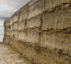 Reasons to keep silage waste to a minimum this winter