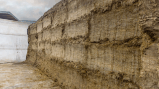 Reasons to keep silage waste to a minimum this winter