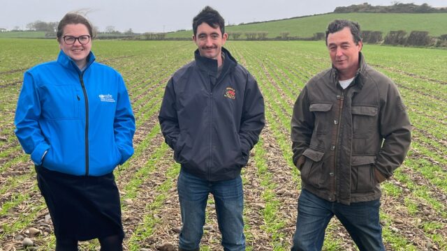 Farm Focus: Turning soil data into action on the Ards Peninsula