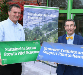 DAERA encourages growers to apply for NI Horticulture Pilot Scheme