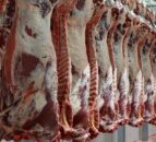 EU beef production falls by 169,000t in first 8 months of 2025