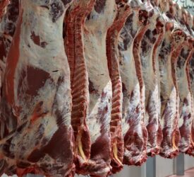 EU beef production falls by 169,000t in first 8 months of 2025
