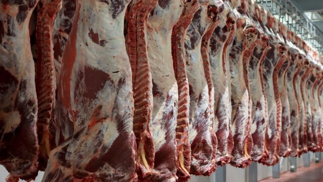 EU beef production falls by 169,000t in first 8 months of 2025