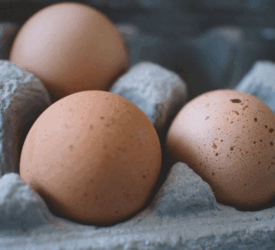 A top quality diet ‘best investment’ poultry farmers can make – specialist