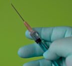 NI vets urge UK government to clarify access to medicines – BVA