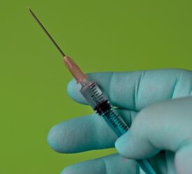 NI vets urge UK government to clarify access to medicines – BVA