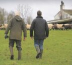 Survey warns that half of British farmers considering quitting in past year