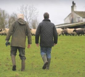 Survey warns that half of British farmers considering quitting in past year