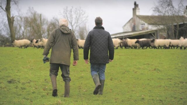Survey warns that half of British farmers considering quitting in past year