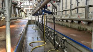 Is it worth moving to once-a-day milking?