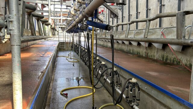 Is it worth moving to once-a-day milking?