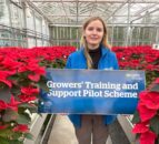 CAFRE Horticulture Pilot Scheme application deadline extended