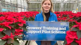 CAFRE Horticulture Pilot Scheme application deadline extended