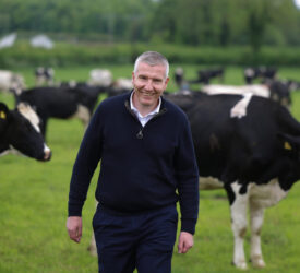 Dairy Council NI: Longer term outlook for milk remains upbeat