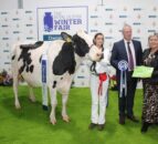 RUAS to host emergency bluetongue meeting on Winter Fair