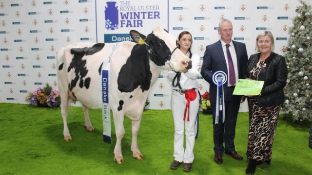 RUAS to host emergency bluetongue meeting on Winter Fair