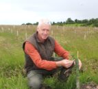 Timber prices continue to hold up well