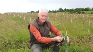 Timber prices continue to hold up well