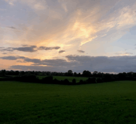 Mercosur deal labelled as ‘serious threat’ to NI agri-food sector