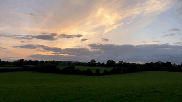 Mercosur deal labelled as ‘serious threat’ to NI agri-food sector