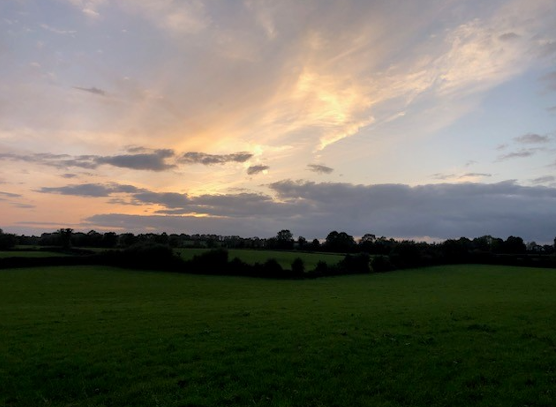 agriland.co.uk - Stella Meehan - Mercosur deal labelled as 'serious threat' to NI agri-food sector