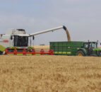 FAO Food Price Index declines in November