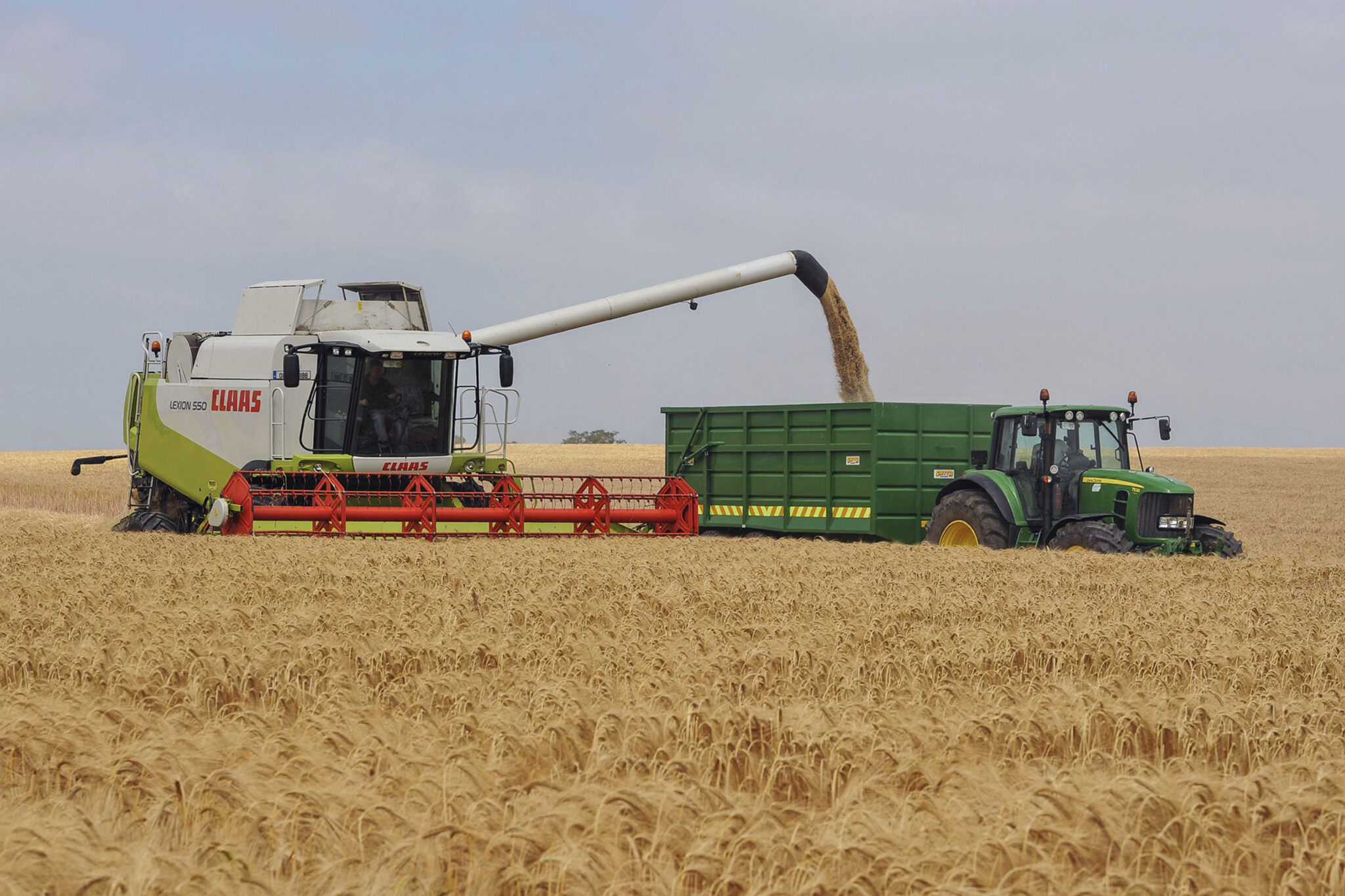 agriland.co.uk - Joe Griffin - FAO Food Price Index declines in November