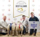 Lambs hit record high of £820 at RUAS championships