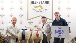Lambs hit record high of £820 at RUAS championships