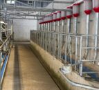 Are your parlour feeders costing you money?