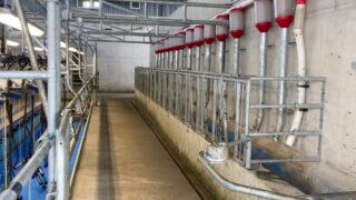 Are your parlour feeders costing you money?