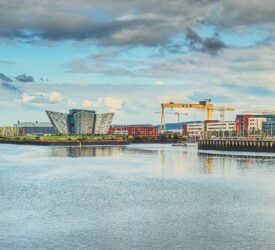 Mercosur could undercut Northern Ireland’s agri-food sector – UUP