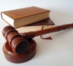 Court: NI farmer sentenced in animal welfare case