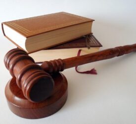 Court: NI farmer sentenced in animal welfare case