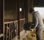 Do you have enough supplies for the Christmas period?