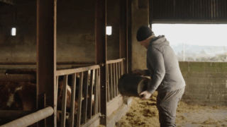 Do you have enough supplies for the Christmas period?