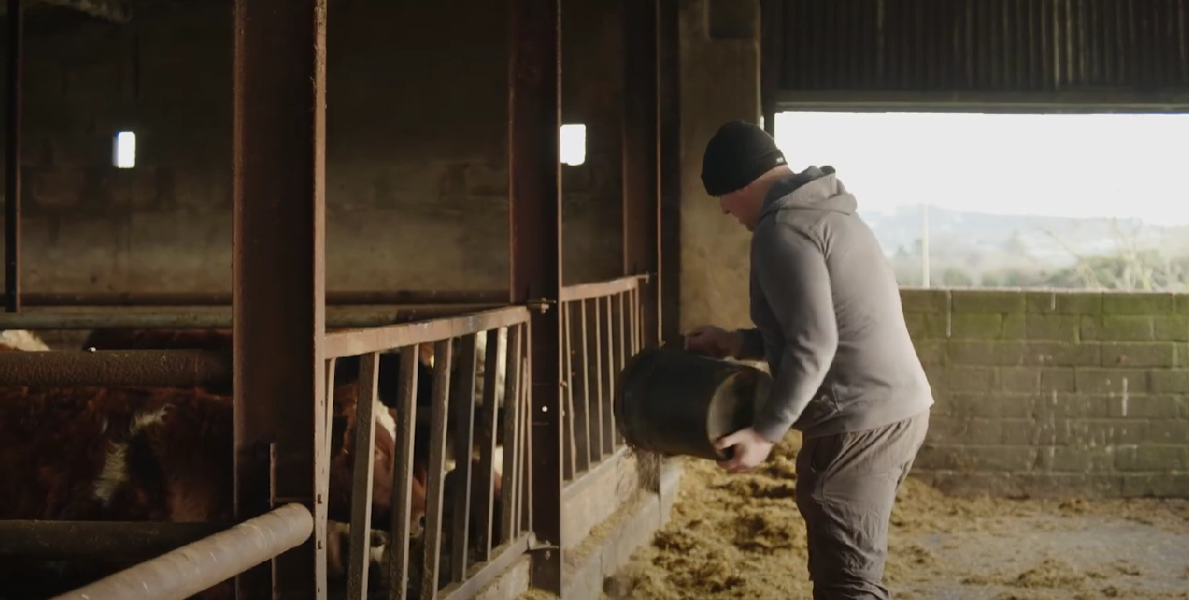 Do you have enough supplies for the Christmas period?