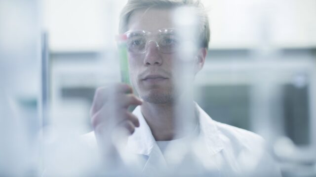 NI waiting on test results from Germany and England on suspected bluetongue samples