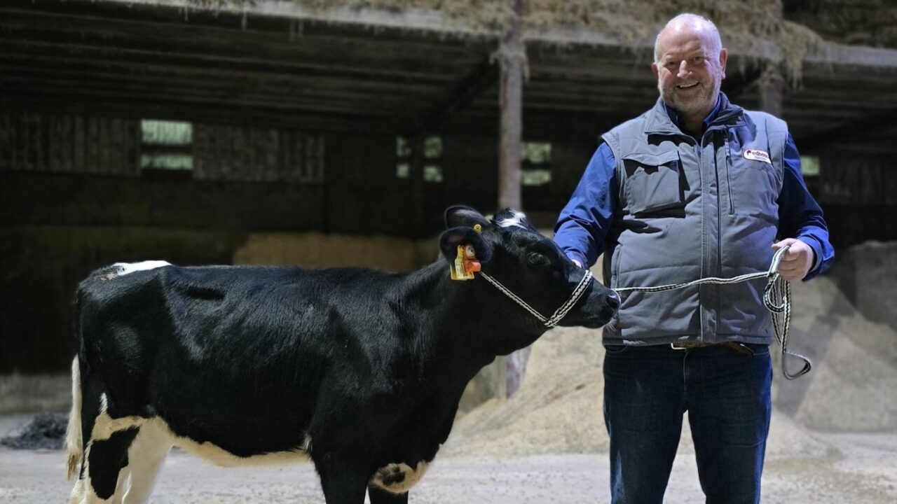 Redhouse Holsteins open day to raise funds for NI Air Ambulance Service