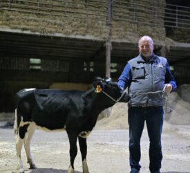 Redhouse Holsteins open day to raise funds for NI Air Ambulance Service