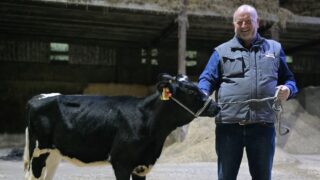 Redhouse Holsteins open day to raise funds for NI Air Ambulance Service