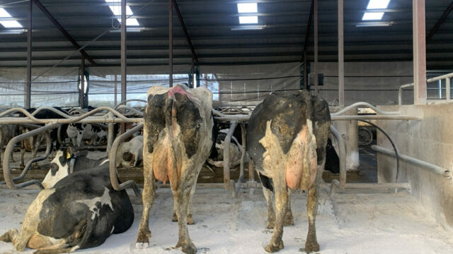 Ensuring the correct BCS is achieved this winter