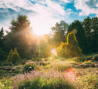 2025 on course to be joint-second warmest year