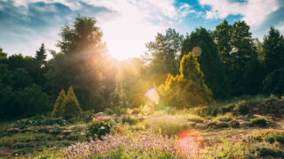 2025 on course to be joint-second warmest year