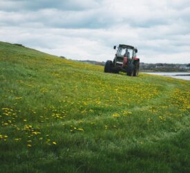 2025 a year of ‘unprecedented challenges’ for farming in NI