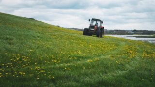 2025 a year of ‘unprecedented challenges’ for farming in NI