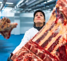 Beef and pork production to slow down in 2026 – report