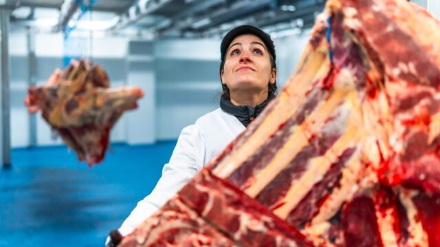 Beef and pork production to slow down in 2026 – report