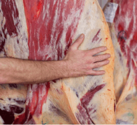 338 jobs at risk as ABP to cease retail packing at Dungannon site