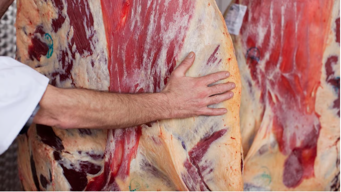 338 jobs at risk as ABP to cease retail packing at Dungannon site